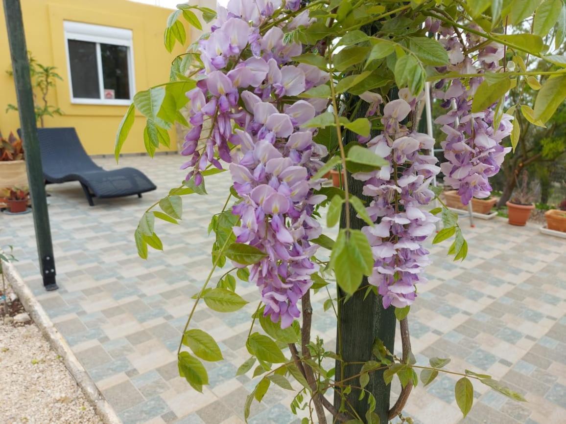 Grieks Vakantiehuis To Kalokairi Kougaíika Buitenkant foto