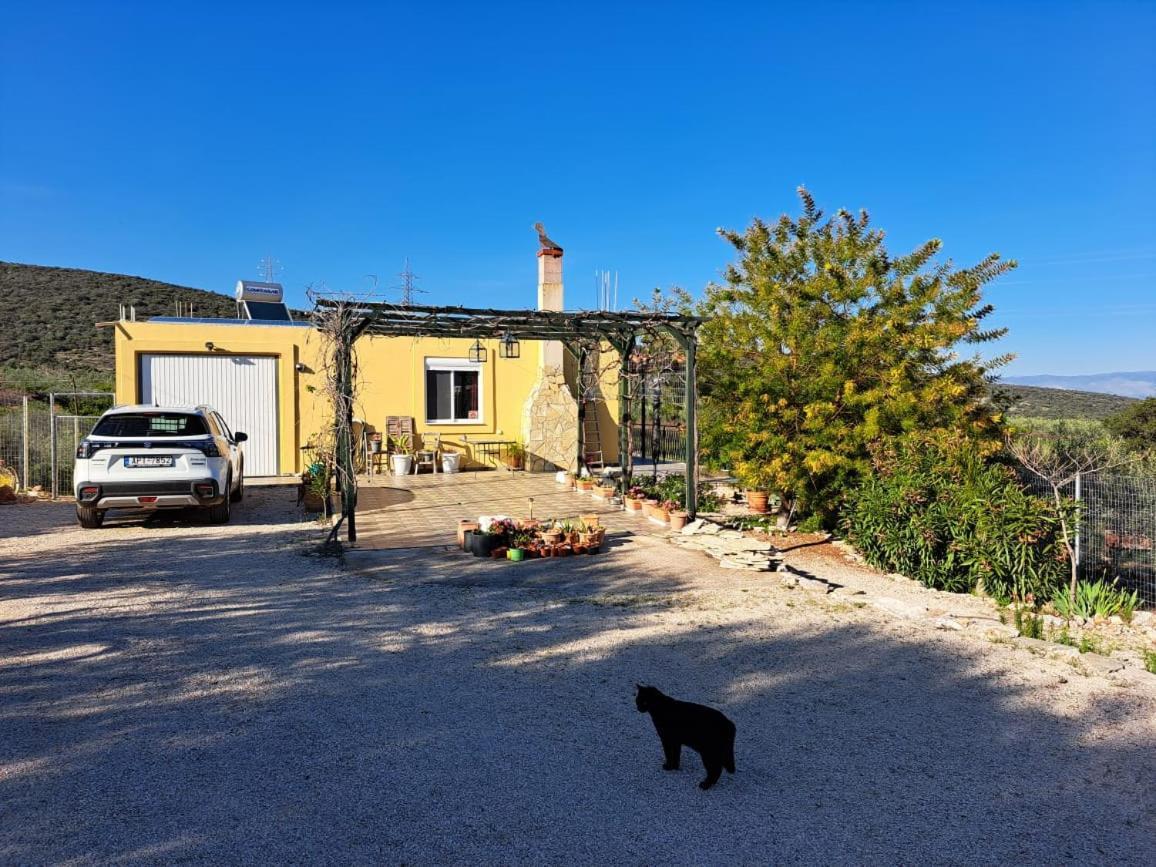 Grieks Vakantiehuis To Kalokairi Kougaíika Buitenkant foto